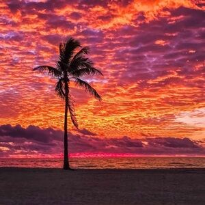 Meet your Posher, Sam